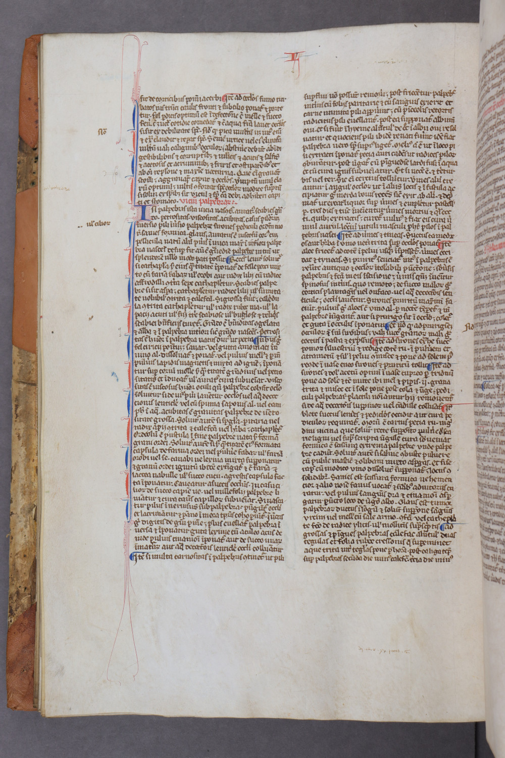 Folio 65 verso